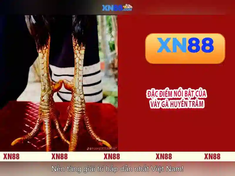 Giới thiệu về xn88