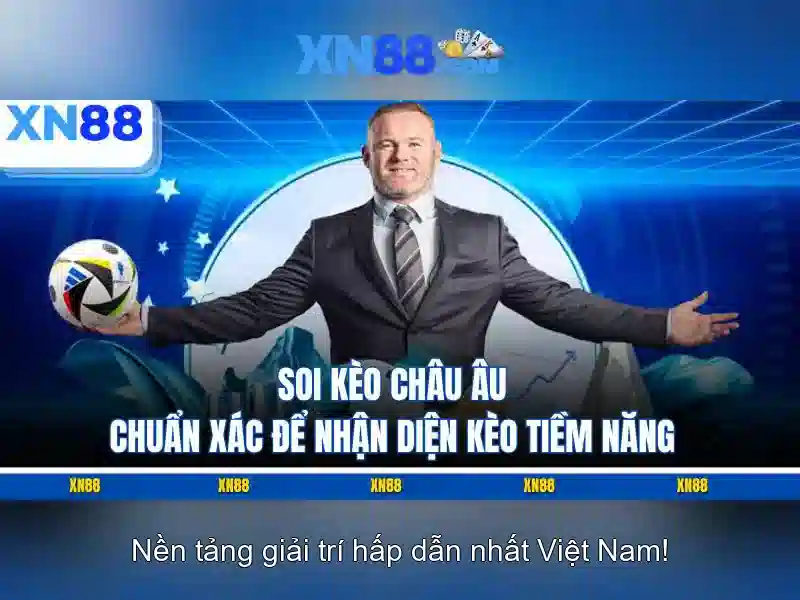 Nền tảng và trải nghiệm người dùng Nền tảng và trải nghiệm người dùng