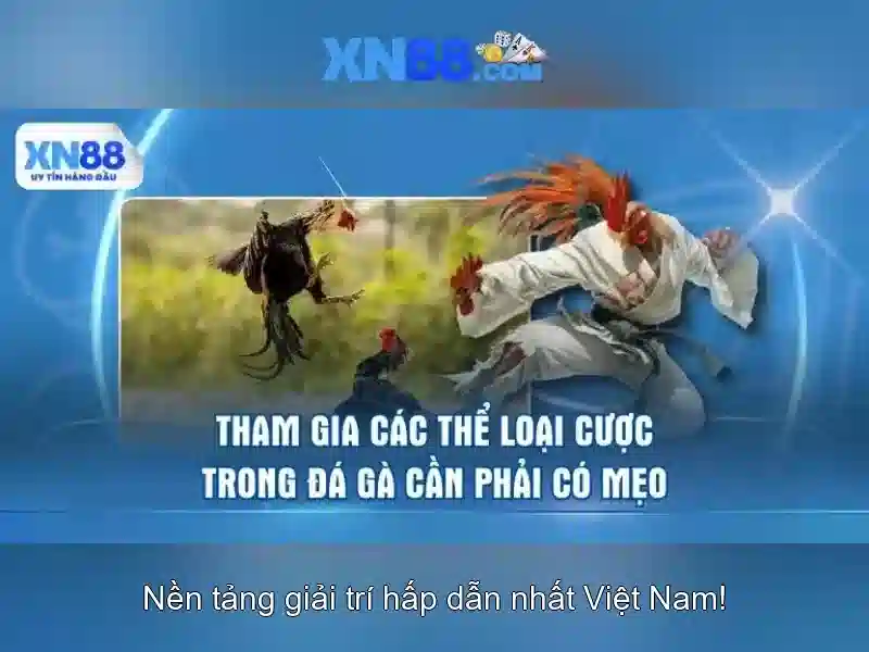 Các trò chơi đa dạng