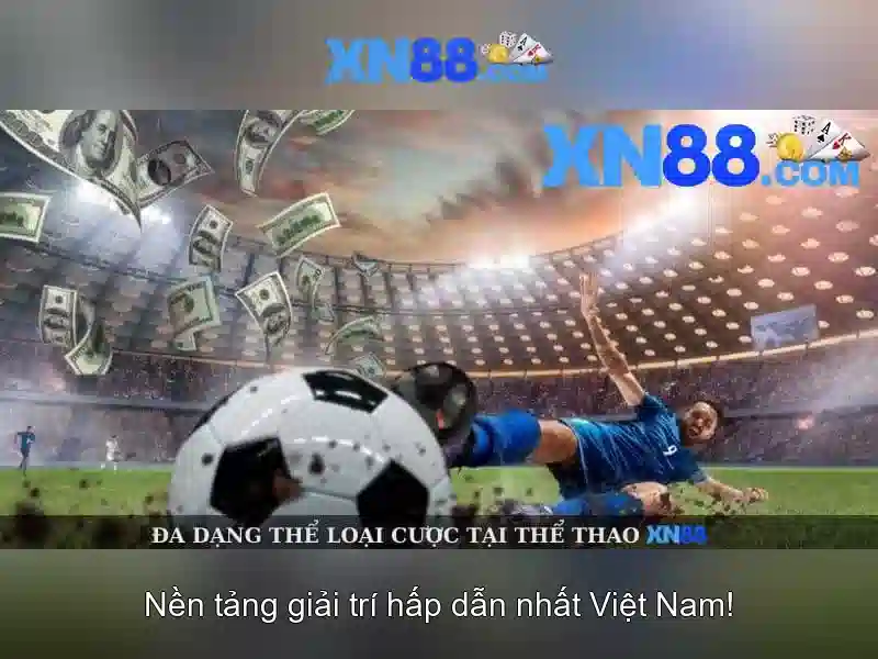 Giới thiệu về XN88