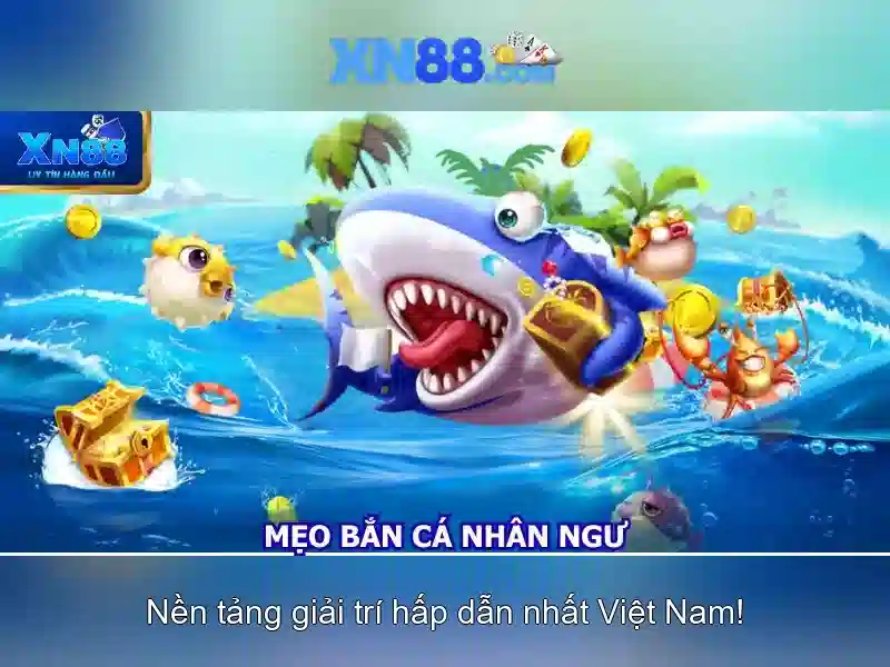 Giao diện và trải nghiệm người dùng Giao diện và trải nghiệm người dùng