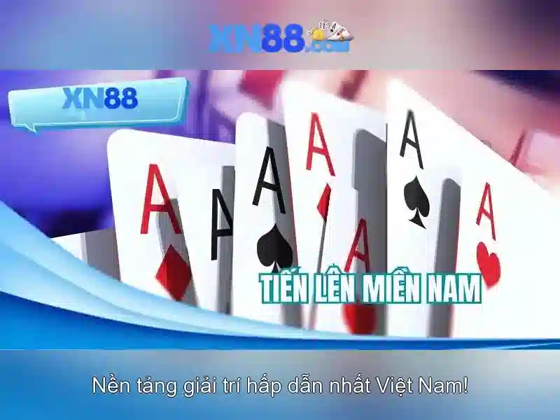 Nền tảng và sản phẩm