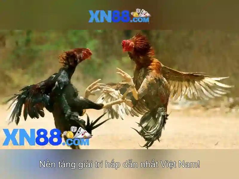 Dịch vụ và sản phẩm chính Dịch vụ và sản phẩm chính