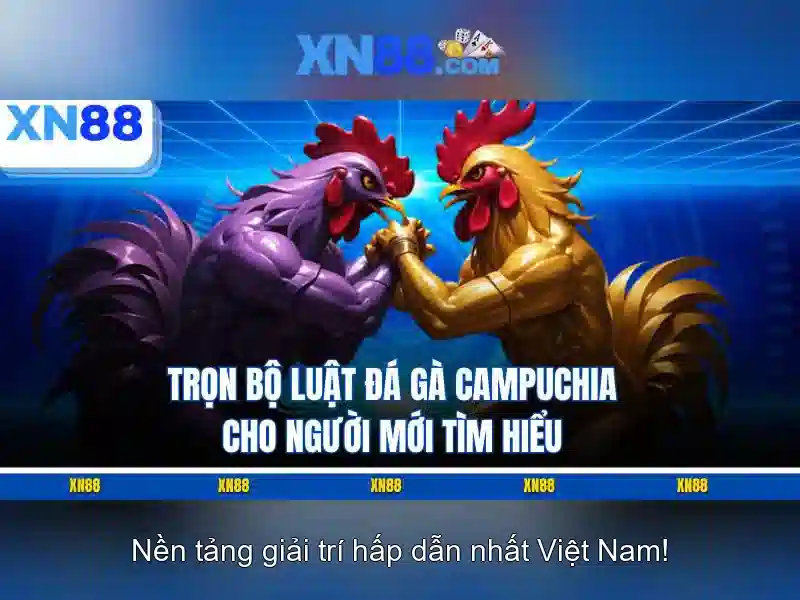 xn88 là gì và các dịch vụ nổi bật