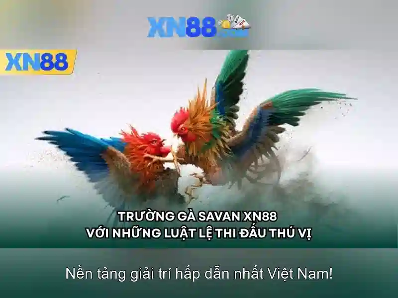 Các thể loại trò chơi và dịch vụ