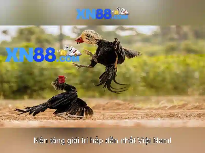 Lịch sử và phát triển của xn88