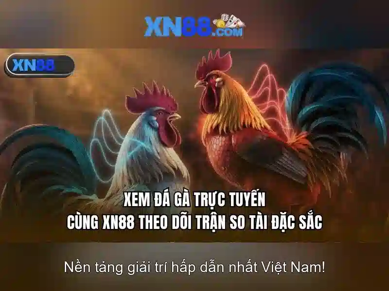 xn88 uy tín không – Đánh giá và trải nghiệm