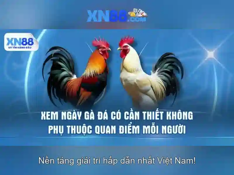 Giới thiệu về xn88 Giới thiệu về xn88