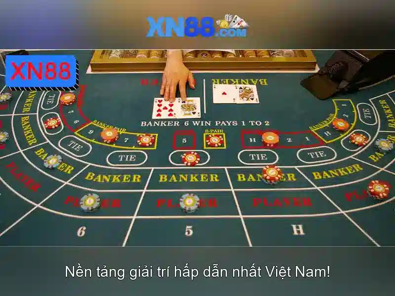 xn88: Tổng quan và các khía cạnh căn bản