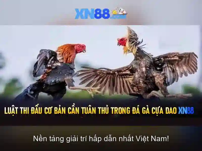 Cac tinh nang noi bat cua xn88